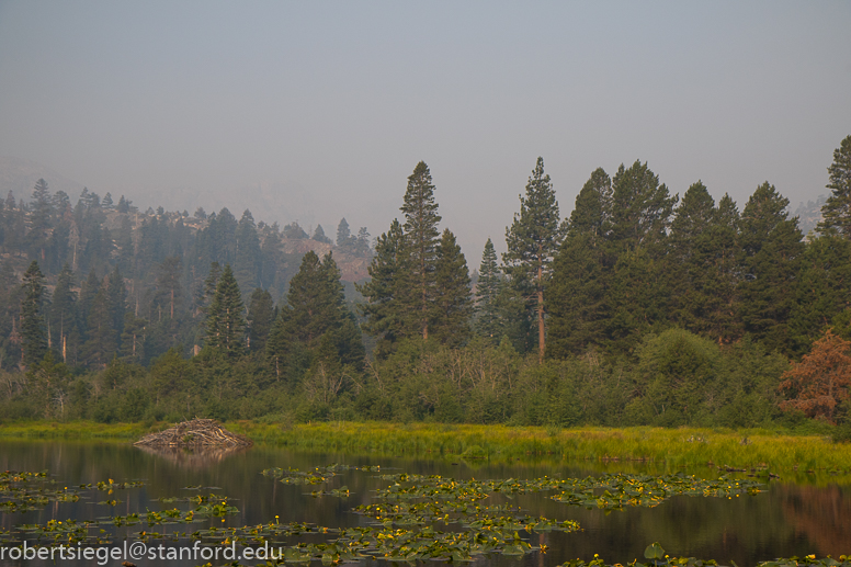 fallen leaf lake